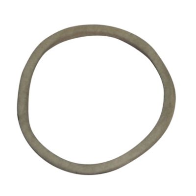 Carrier Factory Authorized Parts™ - 17S421541 - Ring product image