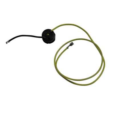 Carrier Factory Authorized Parts™ - HN68GW024 - OVERLOAD PROTECTOR product image