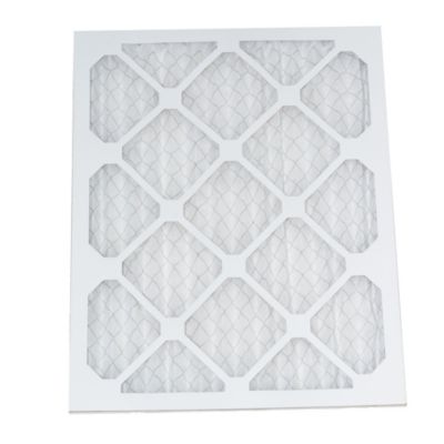 Carrier Factory Authorized Parts™ - 16X20X1 MERV 8 FILTER product image